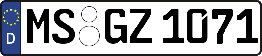MS-GZ1071