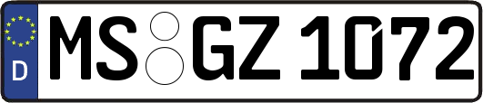 MS-GZ1072