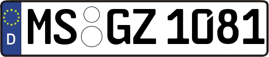 MS-GZ1081