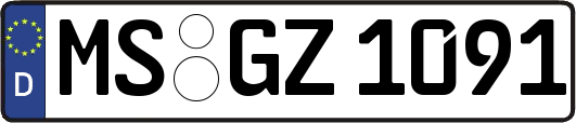 MS-GZ1091