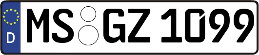 MS-GZ1099