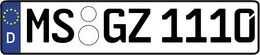 MS-GZ1110