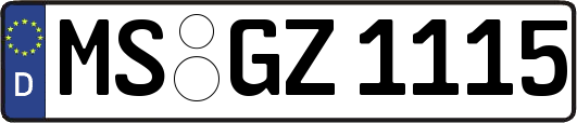 MS-GZ1115