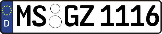 MS-GZ1116