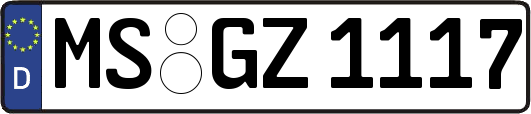 MS-GZ1117