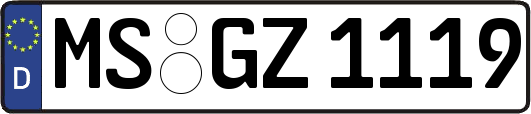 MS-GZ1119