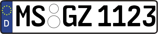 MS-GZ1123