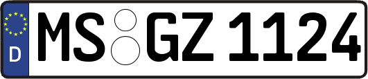 MS-GZ1124