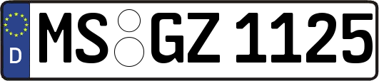 MS-GZ1125