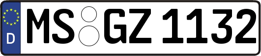 MS-GZ1132