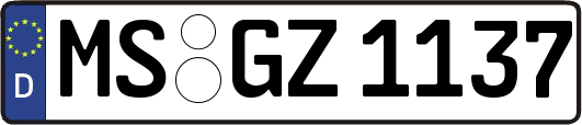 MS-GZ1137