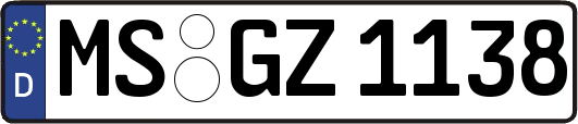 MS-GZ1138