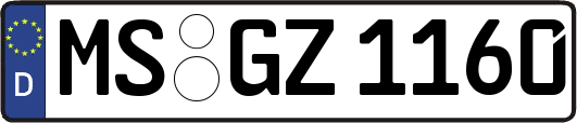 MS-GZ1160