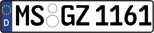 MS-GZ1161