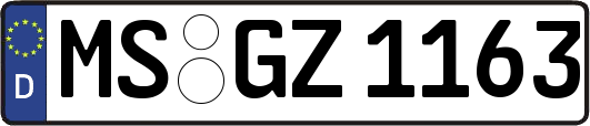 MS-GZ1163