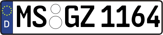 MS-GZ1164