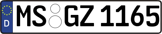 MS-GZ1165