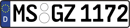 MS-GZ1172