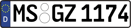 MS-GZ1174