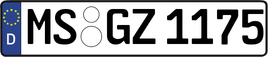 MS-GZ1175