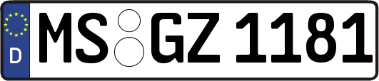 MS-GZ1181