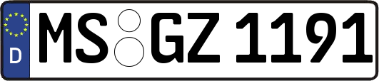MS-GZ1191