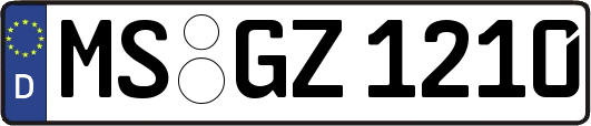 MS-GZ1210