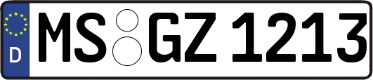 MS-GZ1213