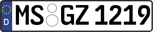 MS-GZ1219