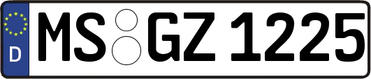 MS-GZ1225