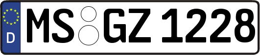 MS-GZ1228