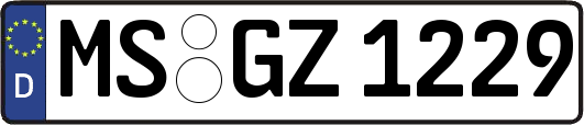 MS-GZ1229