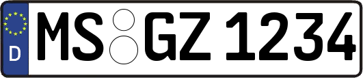 MS-GZ1234