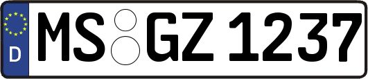 MS-GZ1237