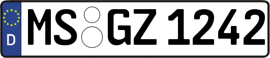 MS-GZ1242