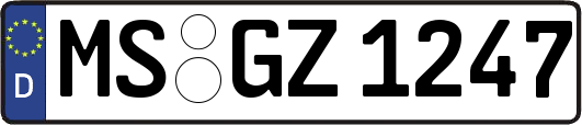 MS-GZ1247
