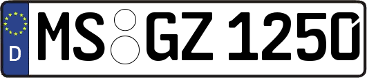 MS-GZ1250