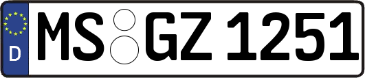 MS-GZ1251