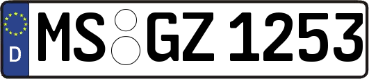 MS-GZ1253