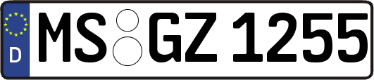 MS-GZ1255