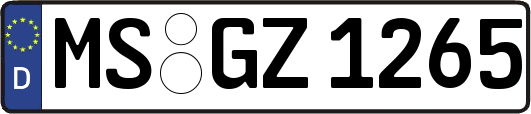 MS-GZ1265