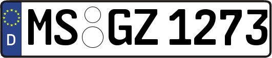 MS-GZ1273