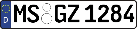MS-GZ1284