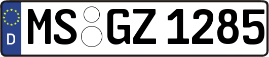 MS-GZ1285