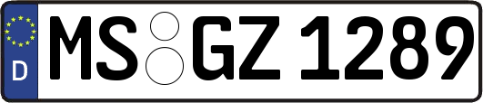 MS-GZ1289