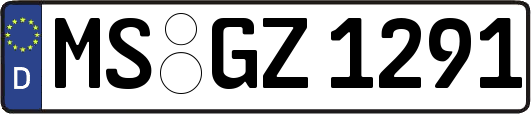 MS-GZ1291
