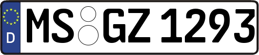 MS-GZ1293