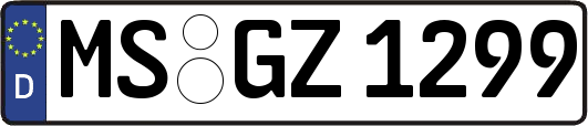 MS-GZ1299