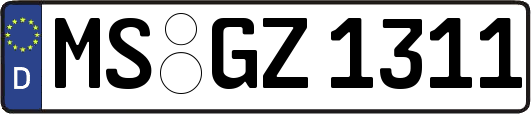 MS-GZ1311