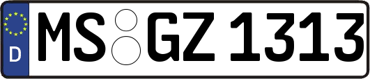 MS-GZ1313